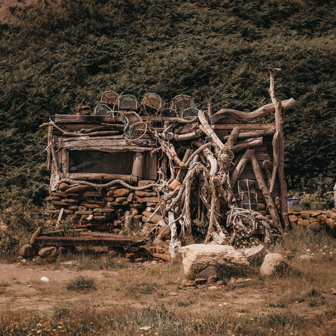 Go explore: Cleveland Way (Port Mulgrave to Staithes)