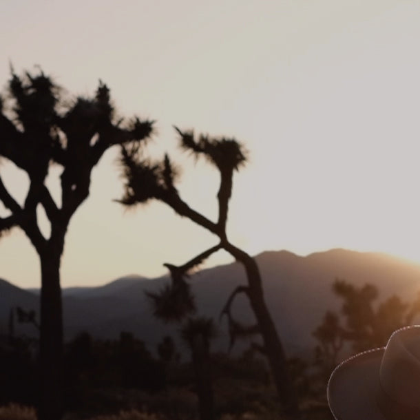 Sanctuary in the High Desert