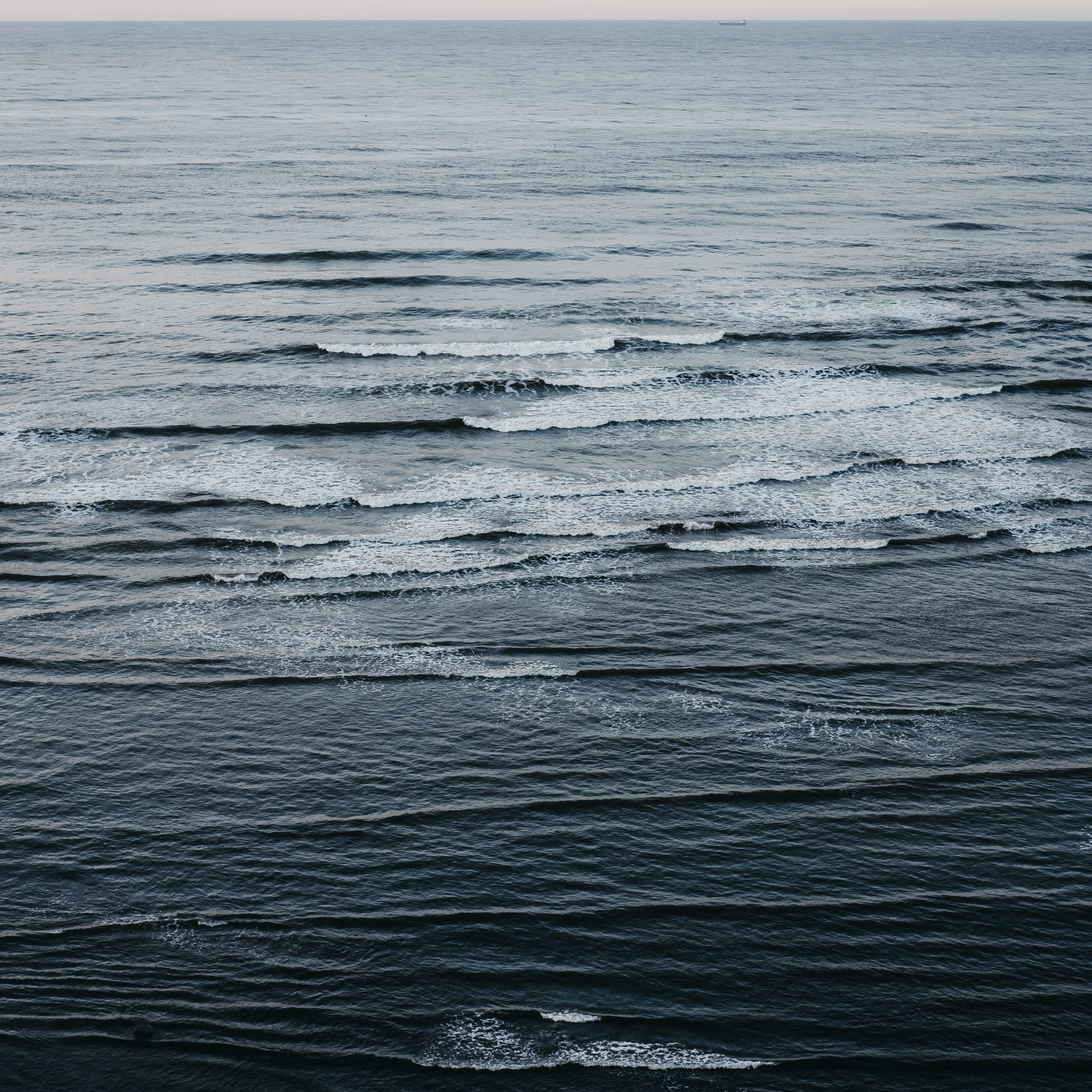 Our brand motto: Brave Free & Wild As The Sea