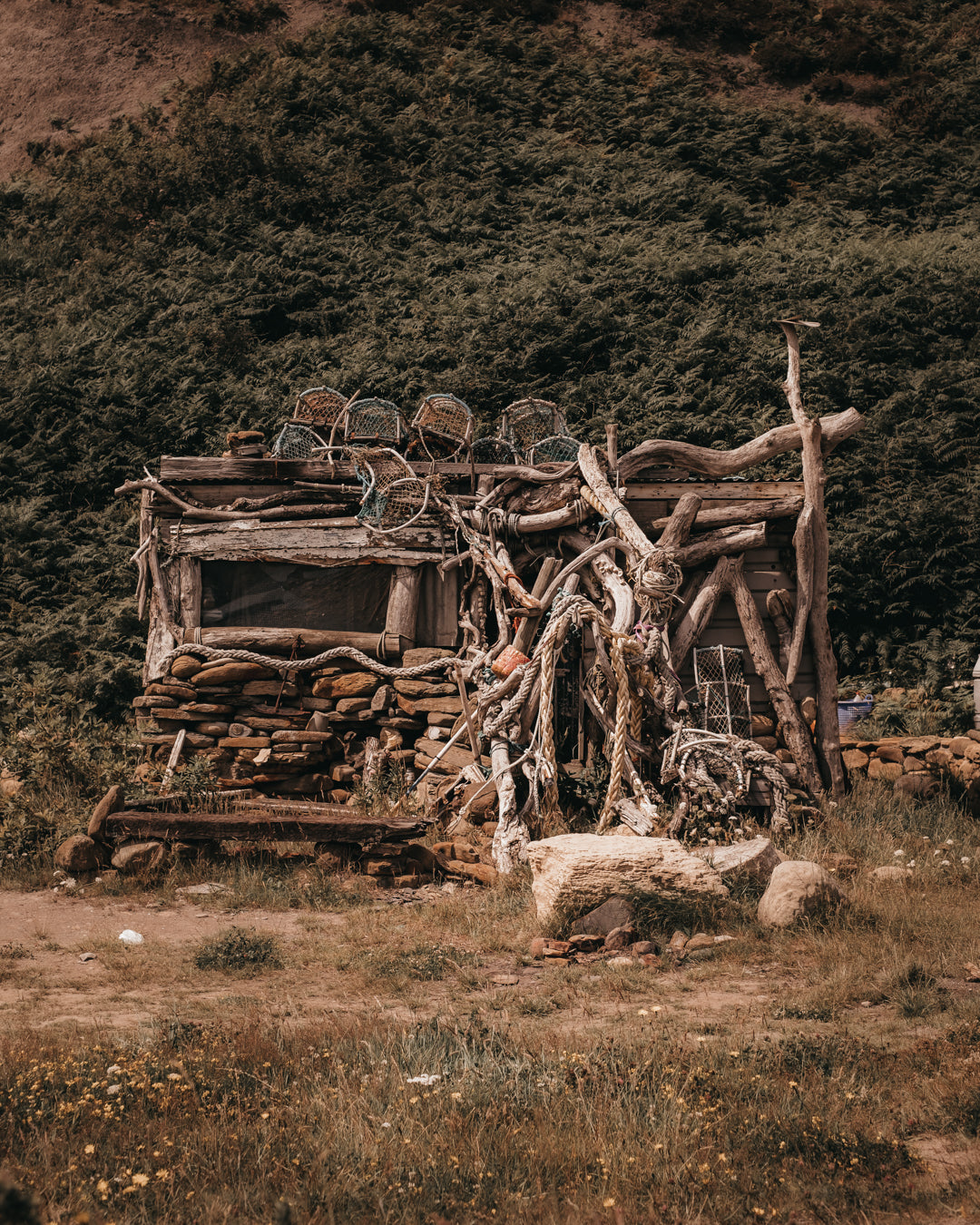Go explore: Cleveland Way (Port Mulgrave to Staithes)