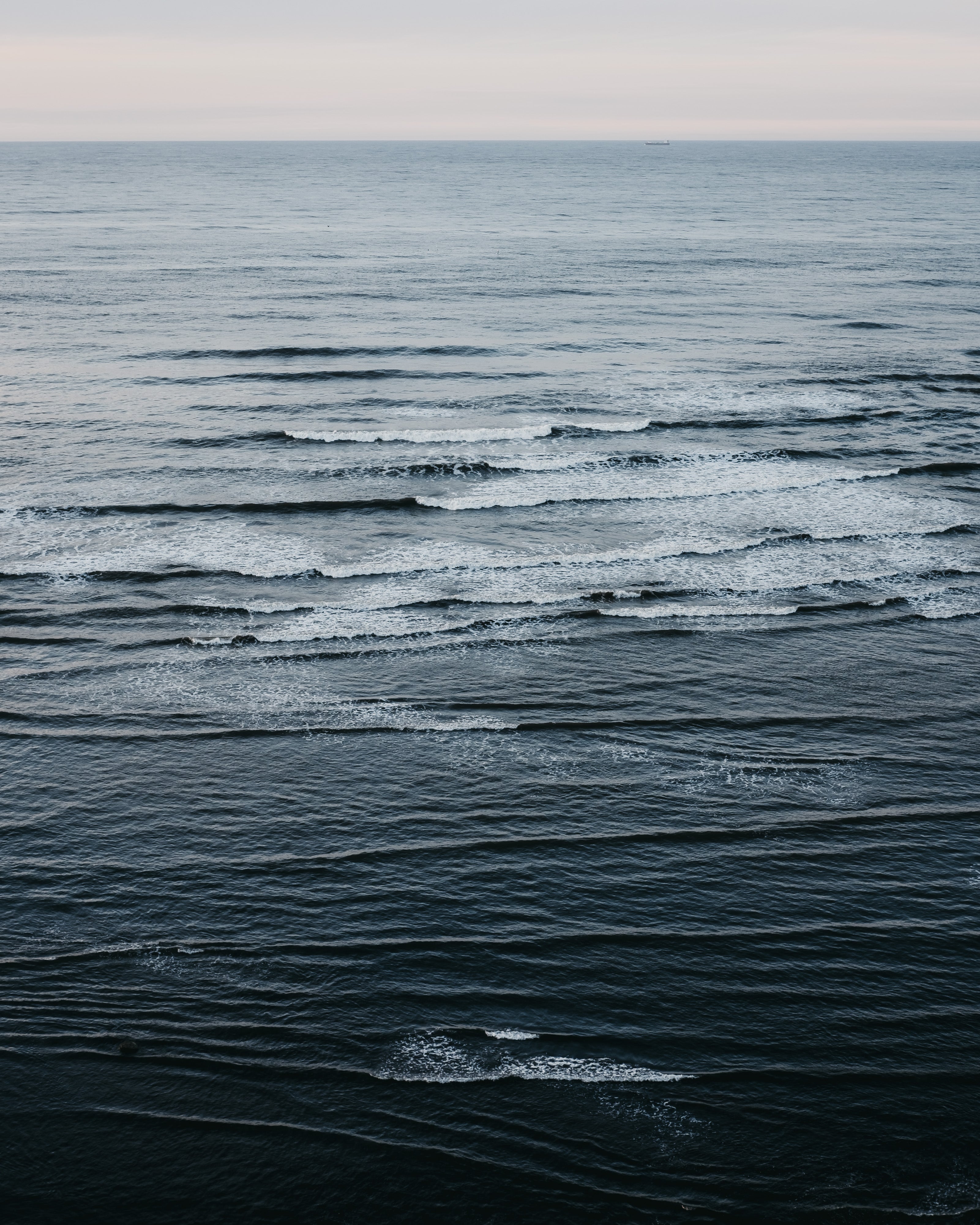 Our brand motto: Brave Free & Wild As The Sea