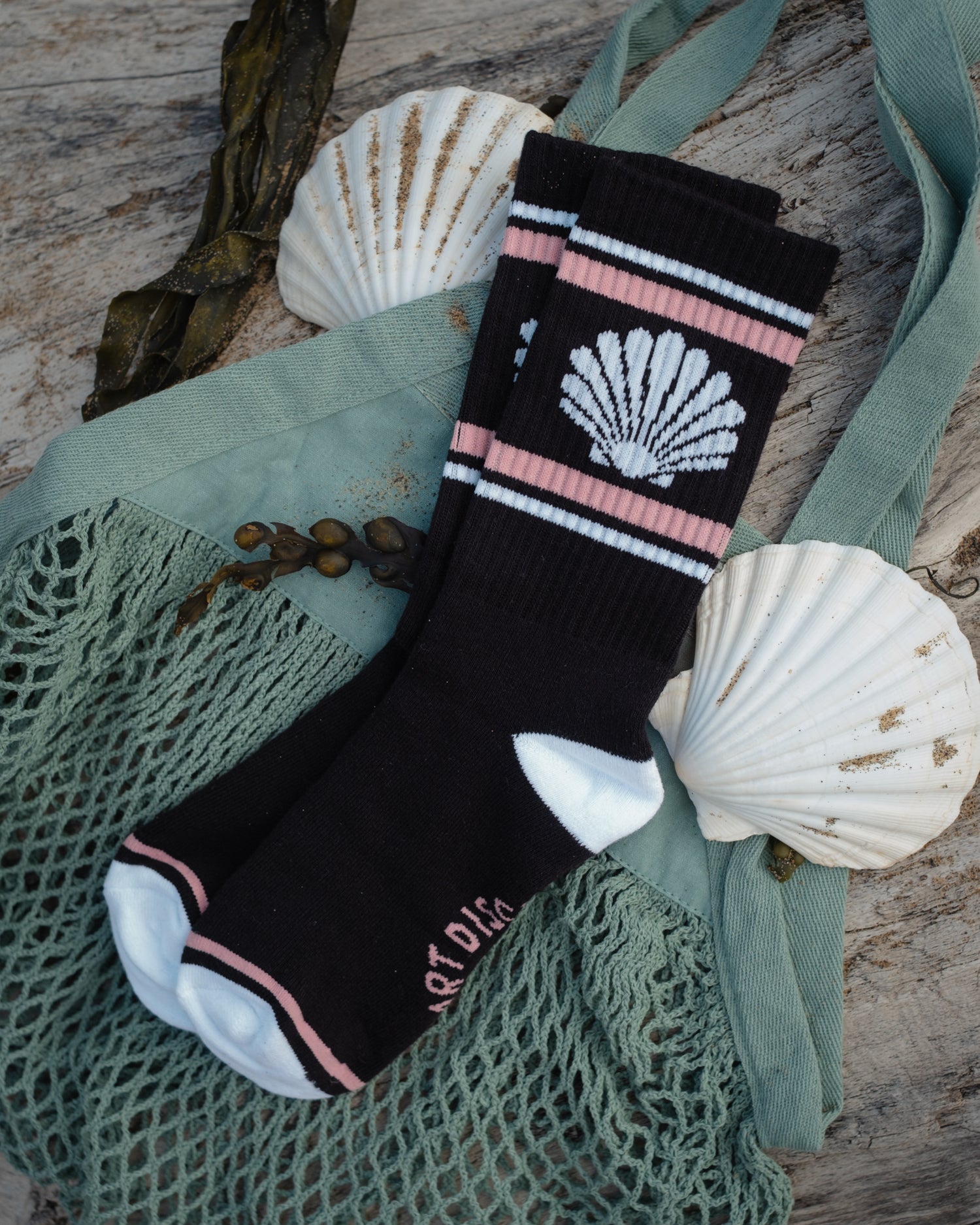 A pair of black crew sock with pink and white stripes, a white scallop shell graphic, and white toe/heel sections, styled on a green mesh bag with seashells and wood background.